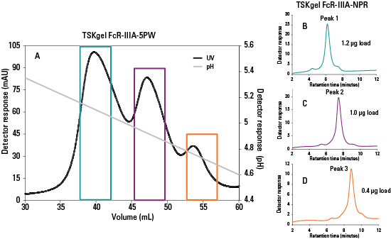 Fraction collection and purity analysis